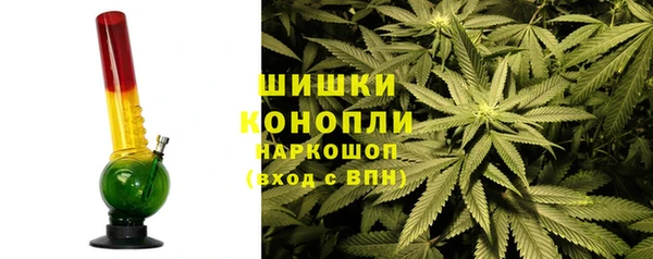 ГАЛЛЮЦИНОГЕННЫЕ ГРИБЫ Кирс